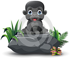 Cute baby gorilla cartoon sitting on the stone