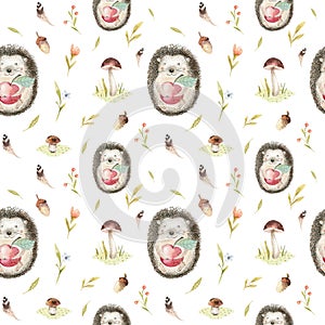Cute baby hedgehog animal seamless pattern for kindergarten, nu photo
