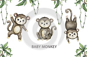 Cute baby monkey Hand drawn adorable watercolor african animals illustration on white background