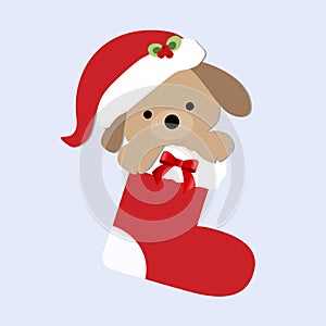 Cute baby holiday Christmas puppy inside stocking.