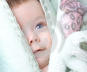 Cute baby infant photo