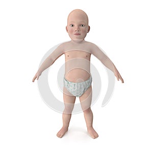 Cute baby isolated on white. Front view. 3D illustration