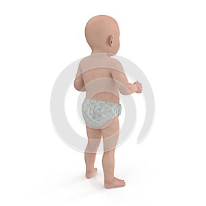 Cute baby isolated on white. Rear view. 3D illustration