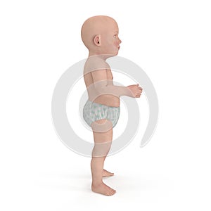 Cute baby isolated on white. Side view. 3D illustration