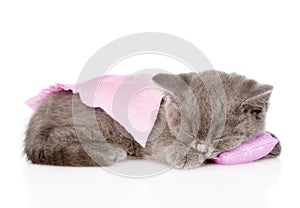 Cute baby kitten sleeping on pillow. isolated on white background