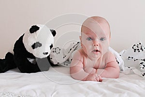 Cute baby lies on tummy with panda toy.