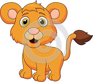 Cute baby lion cartoon