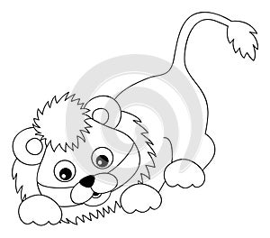 Cute Baby Lion Sneaking. Colouring Lion. Vector Lion Cub