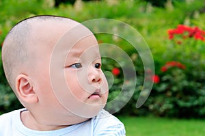 Cute baby looked at the distance photo