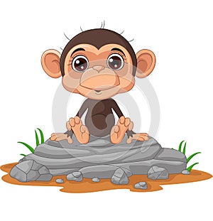 Cute baby monkey cartoon sitting on the rock