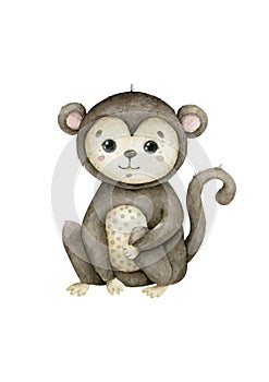 Cute baby monkey Hand drawn adorable watercolor african animals illustration on white background.