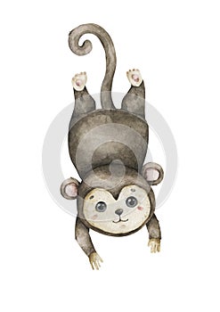 Cute baby monkey Hand drawn adorable watercolor african animals illustration on white background