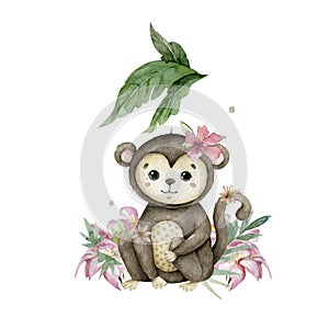 Cute baby monkey Hand drawn adorable watercolor african animals illustration on white background