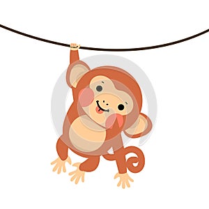 Cute baby monkey hanging on tree