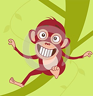 Cute baby monkey sitting on a tree