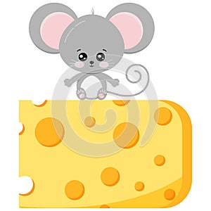 Cute baby mouse on piece of cheese vector flat design image isolated on white background.