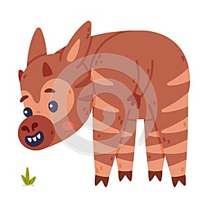 Cute baby okapi wild African animal character cartoon vector illustration