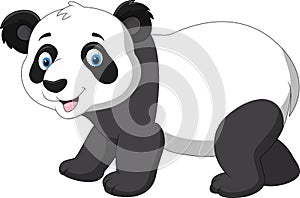 Cute baby panda cartoon