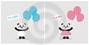 Cute baby panda square set cards for baby shower party. It's a boy. It's a girl. Vector flat illustration.