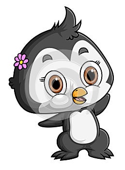 Cute baby penguin cartoon on white background