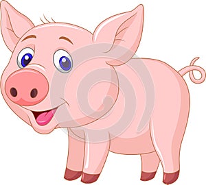 Cute baby pig cartoon