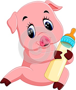 Cute baby pig cartoon