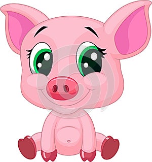 Cute baby pig cartoon