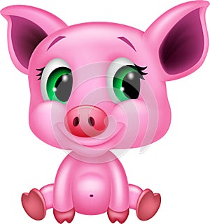 Cute baby pig cartoon