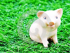 Cute baby piglet doll