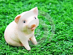 Cute baby piglet doll