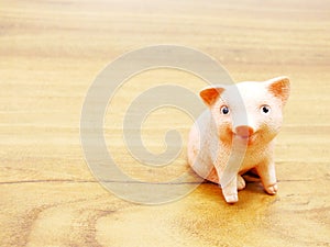 Cute baby piglet doll