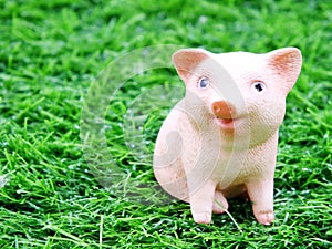 Cute baby piglet doll on grass background