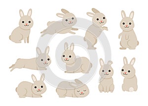 Cute baby rabbit or hare pet set for Easter design in different poses. Animal bunny in cartoon style. Rabbit stand, sit