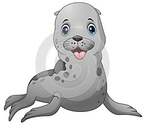 Cute baby seal cartoon