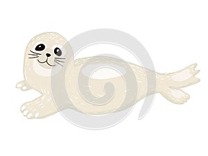 Cute baby seal cartoon Vector isolated on white