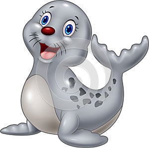 Cute baby seal cartoon on white background