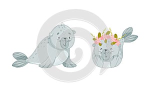 Cute Baby Seal with Flippers and Grey Coat Smiling and Wearing Floral Wreath Vector Set