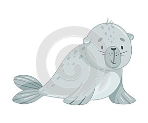Cute baby seal. Funny adorable arctic animal character cartoon vector illustration