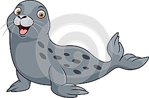 Cute baby seal on white background