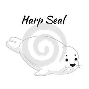 Cute baby seal on white background.