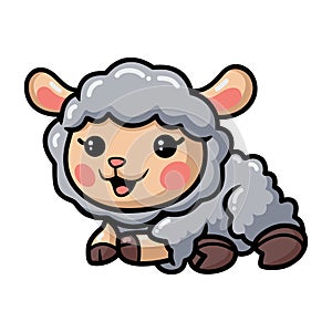 Cute baby sheep cartoon laying down