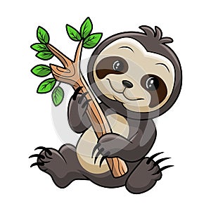 Cute baby sloth on tree branch