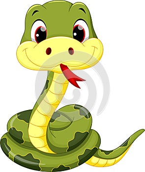 Cute baby snake cartoon