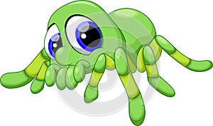 Cute baby tarantula cartoon