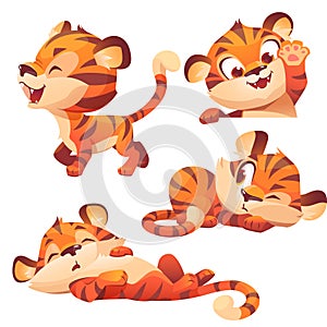 Cute baby tiger character sleep and peep