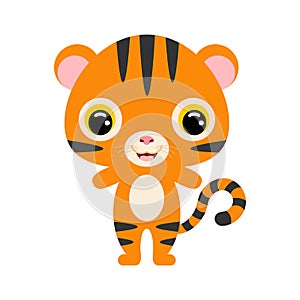 Cute baby tiger. Jungle animal. Flat vector stock illustration on white background