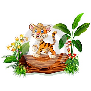 Cute baby tiger posing on tree trunk