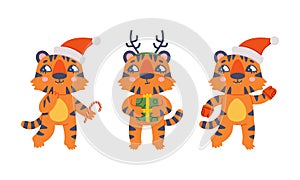 Cute baby tigers set. Funny orange striped jungle wildcat character in Santa Claus caps. Happy New Year cartoon vector