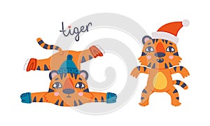 Cute baby tigers set. Funny orange striped jungle wildcat character in winter activities. Happy New Year cartoon vector
