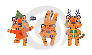 Cute baby tigers set. Funny striped jungle wildcat character in various poses cartoon vector illustration